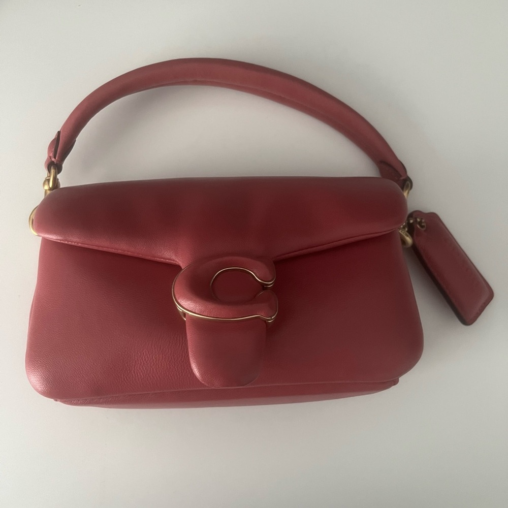 Coach Mini Pillow Tabby 18